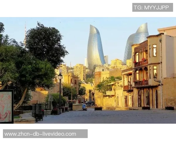 南美足球的魅力与激情探秘从历史到未来的精彩旅程